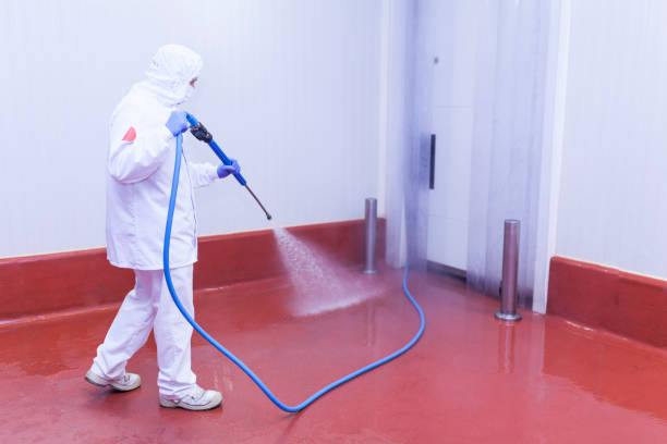 Best Boat and Dock Cleaning  in Browns Mills, NJ